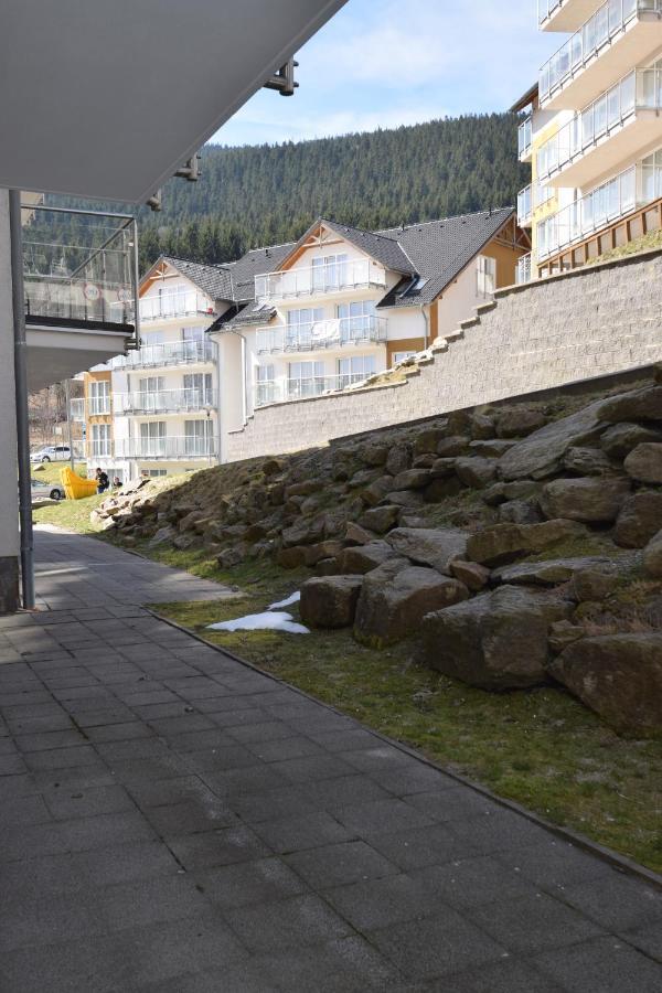 Czarna Gora Is6 Apartment